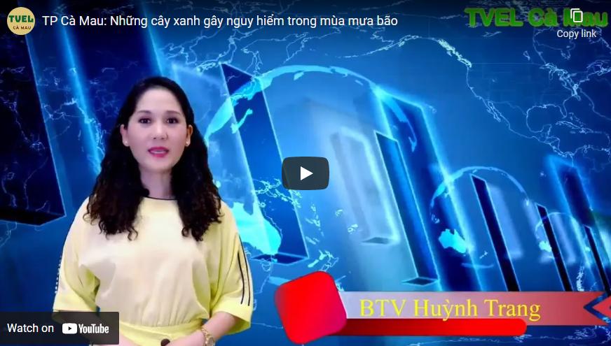 TP CÀ MAU: NHỮNG CÂY XANH GÂY NGUY HIỂM TRONG MÙA MƯA BÃO